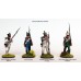 French Napoleonic Infantry Battalion 1807-1814